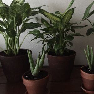 Meet your Posher, Mimi